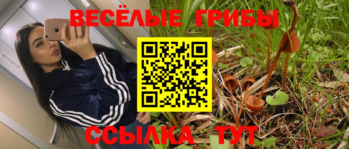 Десногорск  Псилоцибиновые грибы Psilocybe  где купить наркоту  Вход с VPN 
